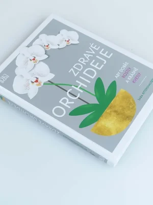 Zdravé orchideje Omezená Nabídka