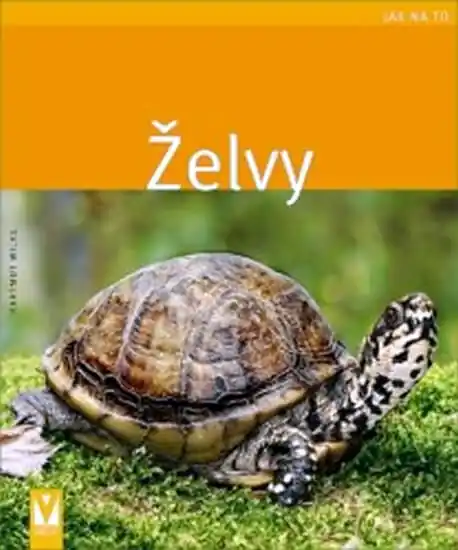 Želvy Nejlepší Volba