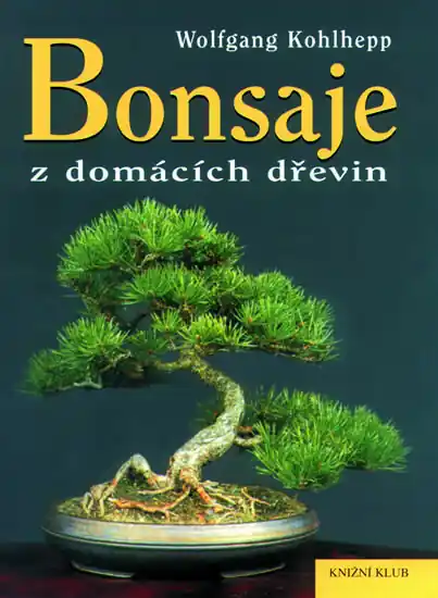 Poslední Šance Bonsaje z domácích dřevin