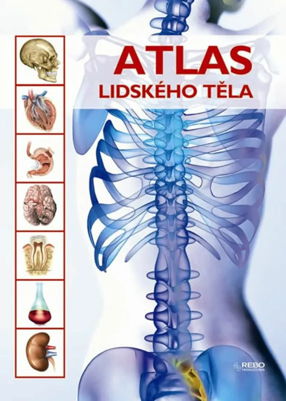 Hit Sezóny Atlas lidského těla