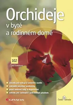 Super Cena Orchideje v bytě a rodinném domě
