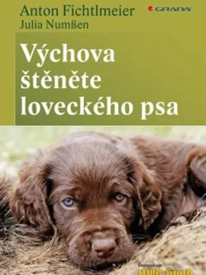 Výchova štěněte loveckého psa Nová Kolekce