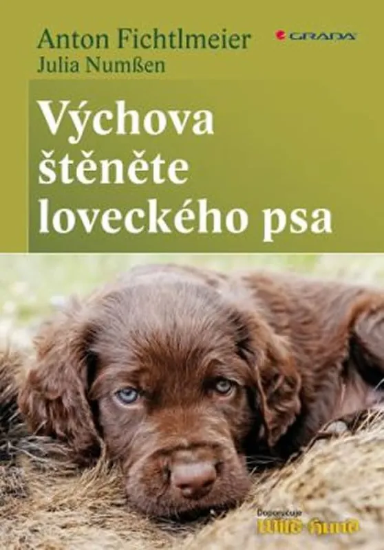 Výchova štěněte loveckého psa Nová Kolekce