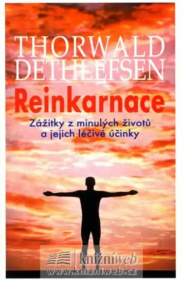 Reinkarnace Novinka