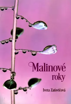 Top Prodej Malinové roky