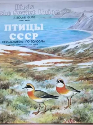 Гагары. Кулики: Pжaнки, Зyйки, Чибиcы = Divers. Waders Kup Teď