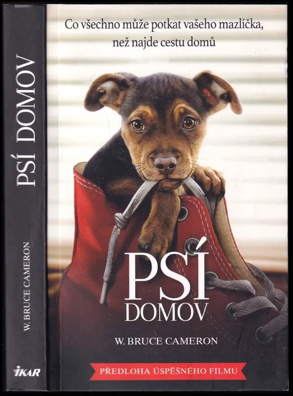 Koupit Online Psí domov : co všechno může potkat vašeho mazlíčka, než najde cestu domů