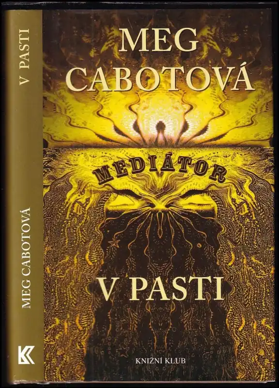 V pasti : mediátor - 5 Nejlepší Volba